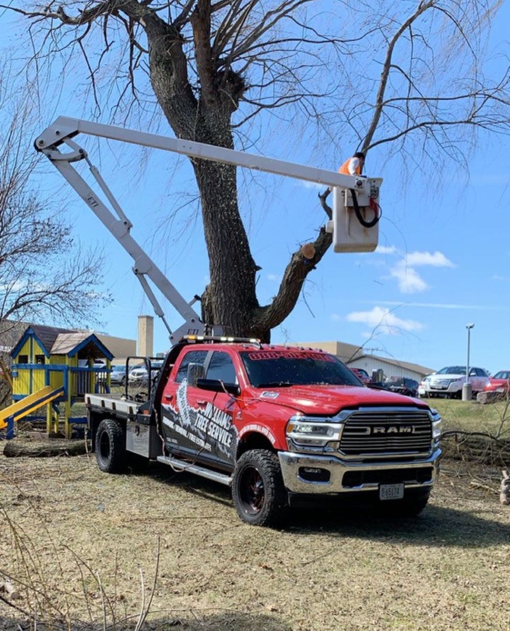Williams Tree Service
